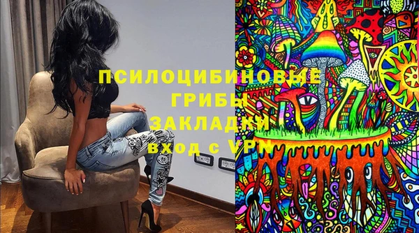 сатива Белокуриха