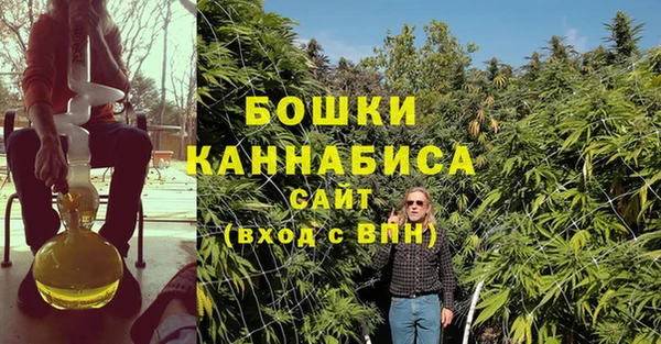 сатива Белокуриха