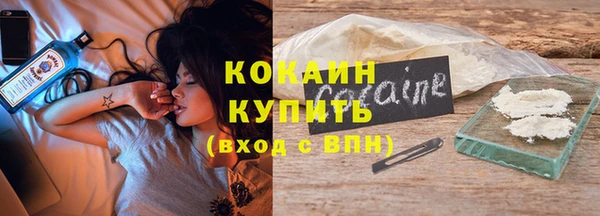 сатива Белокуриха